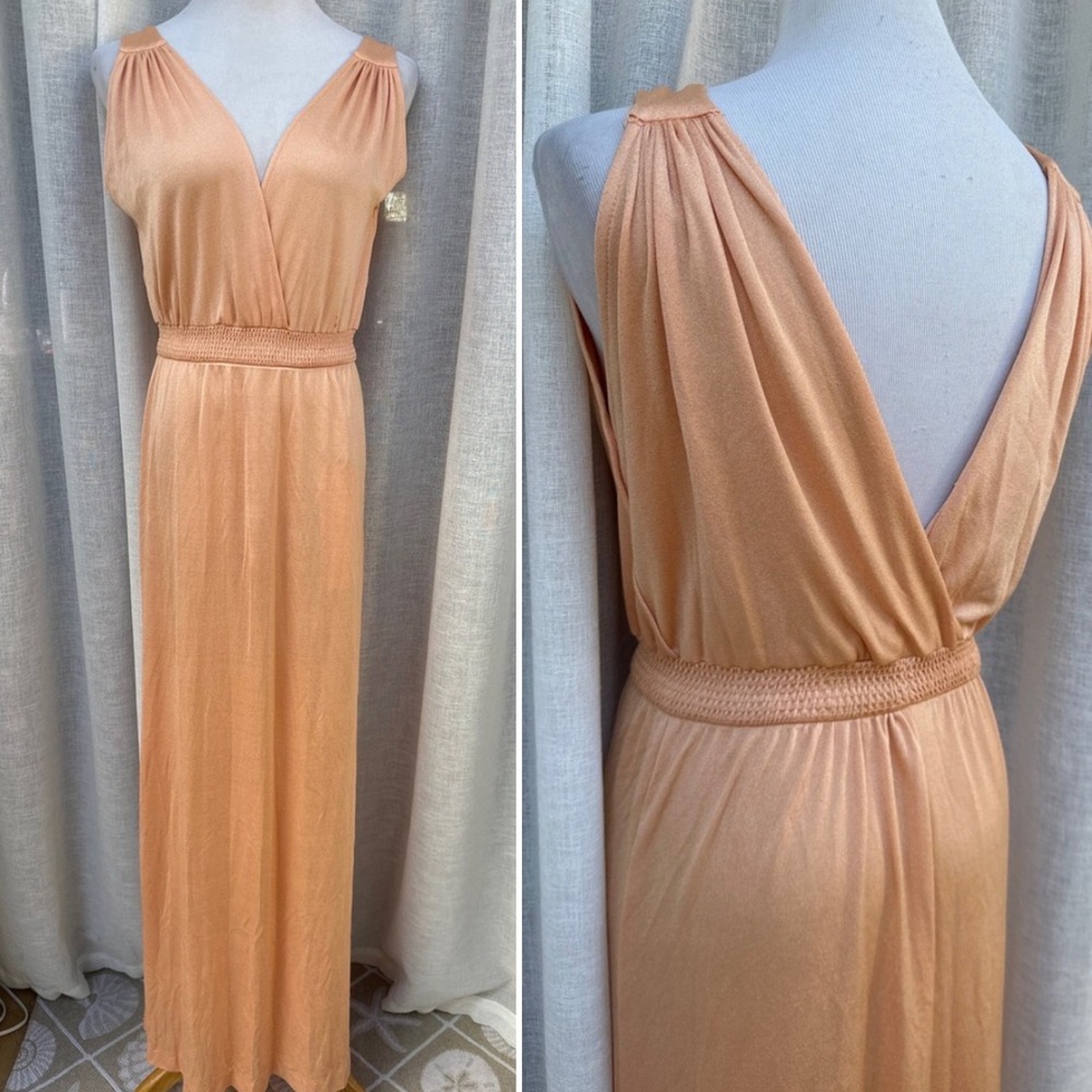 1960's Roberta California Blush Nuestra Maxi Dress